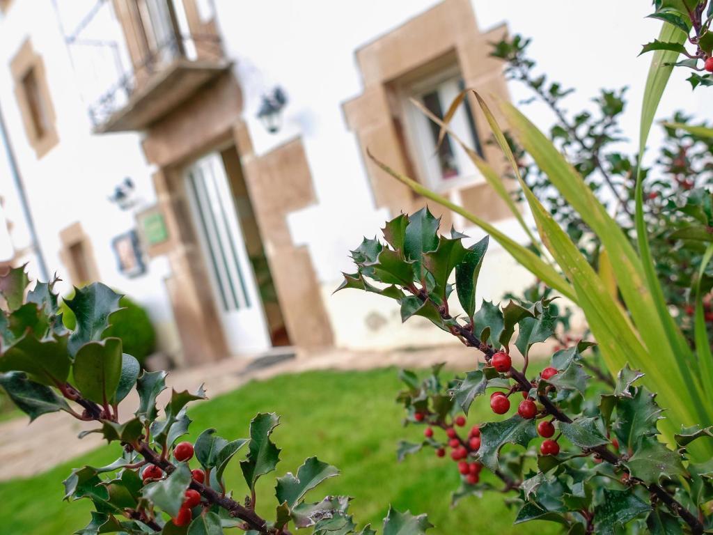 Casa Rural El Balcon De Tera ξενώνας Εξωτερικό φωτογραφία